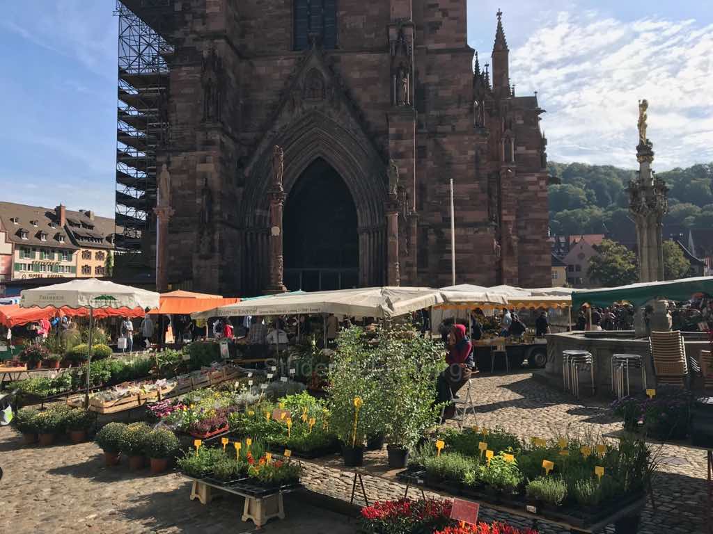 Münster in Freiburg im Breisgau